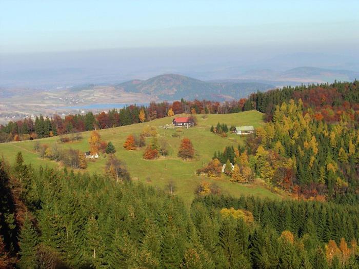 Pension & Restaurace Zeleny Mlyn Žacléř Eksteriør billede